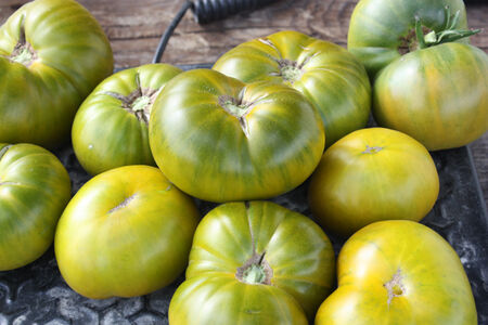 Tasty Evergreen Heirloom Tomato